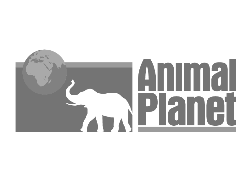 Logo Animal Planet